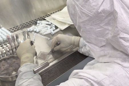 xenotherapeutics900xx452-301-42-0