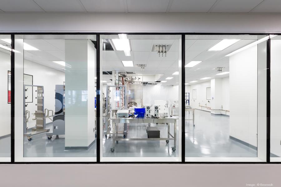 bearwalkmoderna01900xx5467-3645-0-0