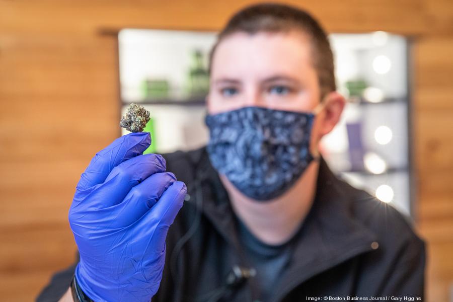 neta-northampton-06900xx5456-3639-0-149