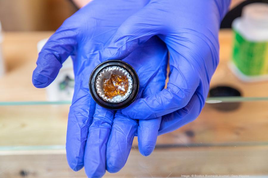 neta-northampton-09900xx4800-3200-0-0