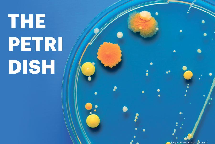 the-petri-dish-logo900xx3315-2216-13-0 the-petri-dish-logo900xx3315-2216-13-0