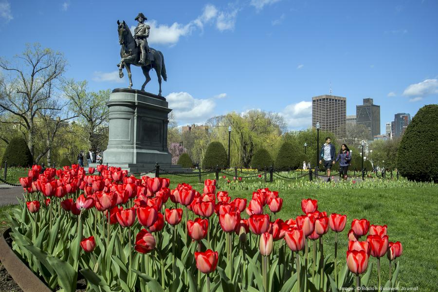 bospubgarden09900xx5184-3456-0-0