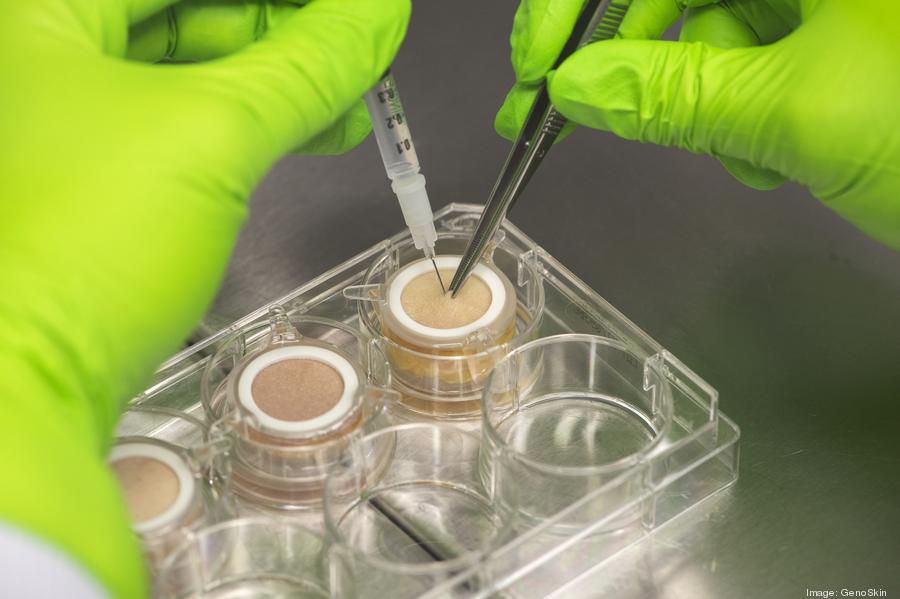 dsc22601900xx2000-1333-0-1