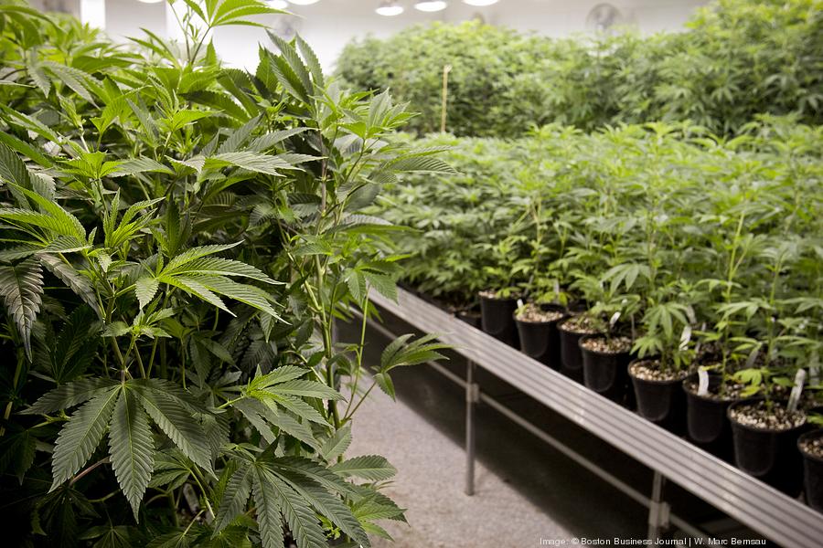 ermont20900xx2430-1620-0-0