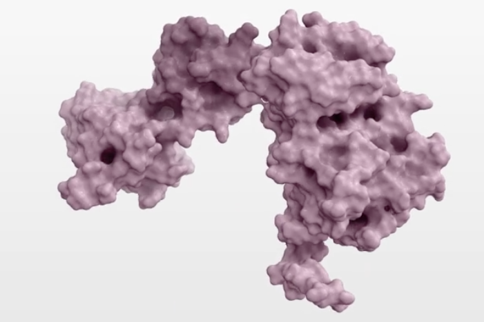 screen-shot-2018-12-20-at-101616-am900xx701-467-10-0