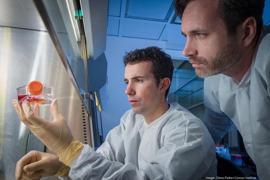 2017sog585417adj900xx1500-1000-0-68