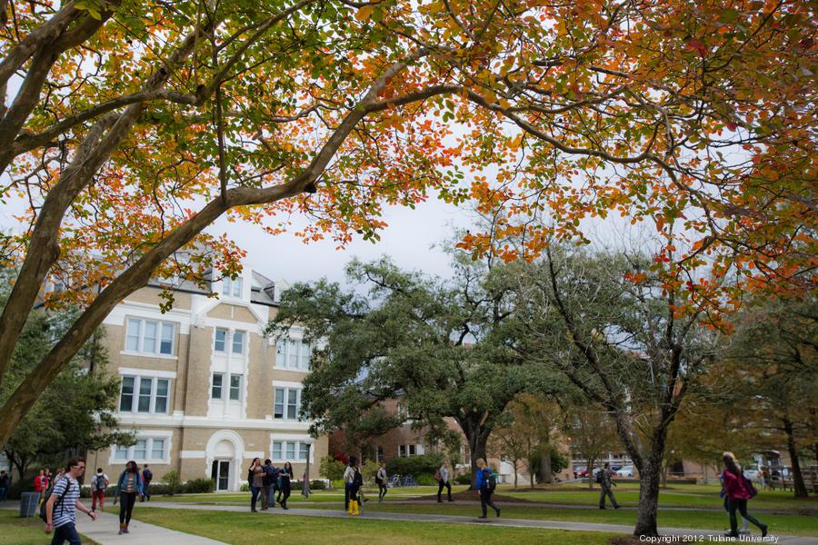 crepe-myrtle9525pbc900xx2700-1800-2-0