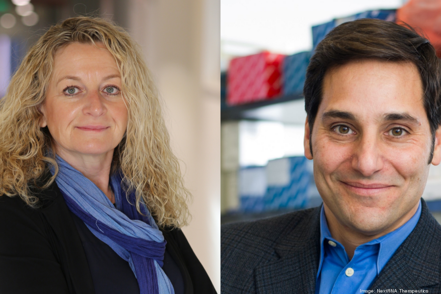 untitled-design-5900xx1688-1125-156-0