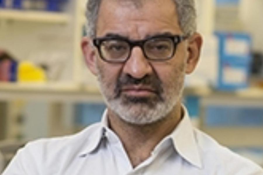 simba-gill900xx1050-700-142-0