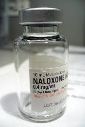 url-1900xx173-259-11-0