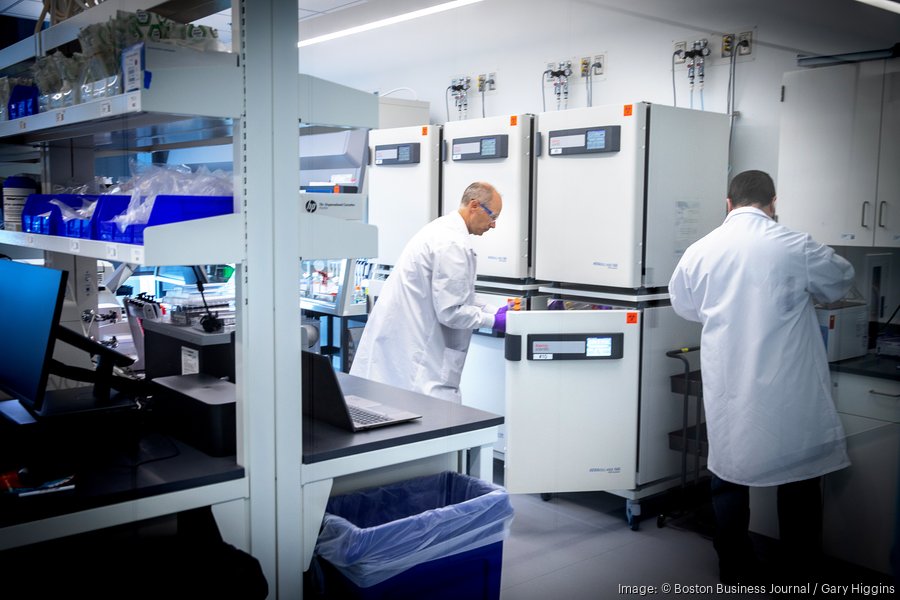 bayer-04900xx6000-4000-0-0