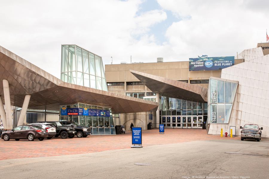 Seven ocean-focused startups graduates from NE Aquarium's BlueSwell program