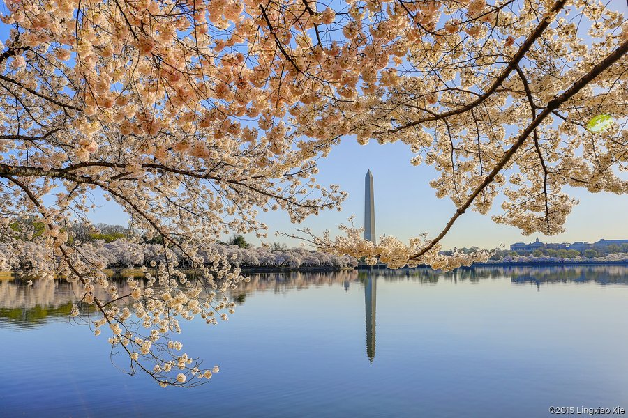 The National Observer: Real Estate: Federal government's potential portfolio sell-off raises eyebrows