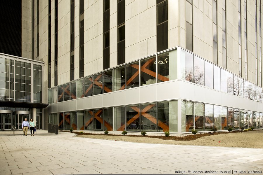 DOGE takes credit for scrapping 17 Mass. leases