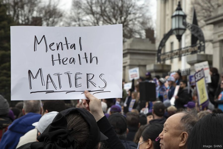 House votes to revers mental health caseworker cuts