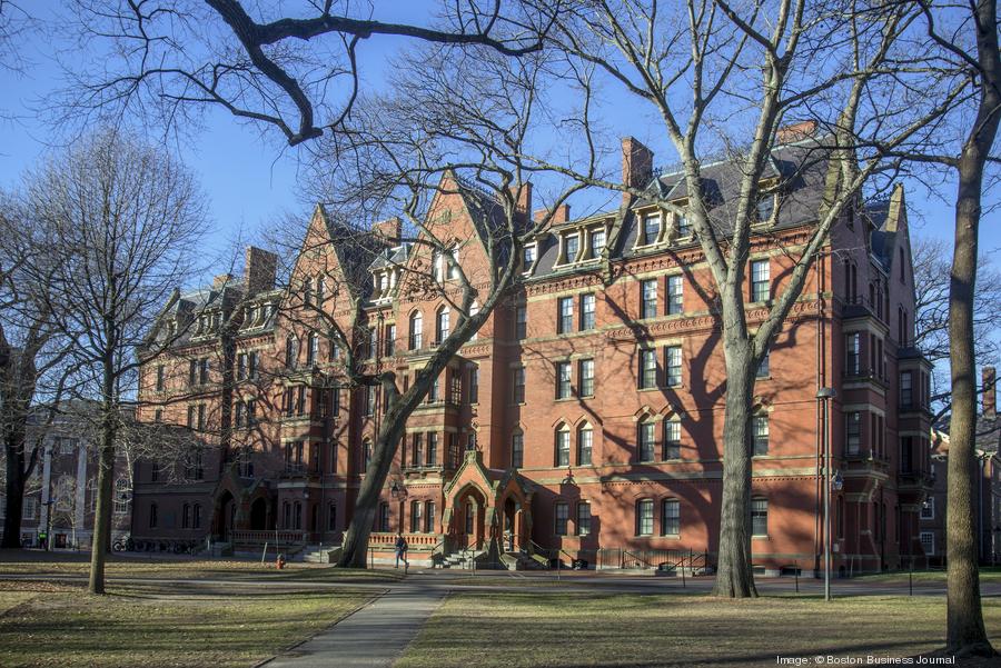 Harvard federal funding under review by Trump task force