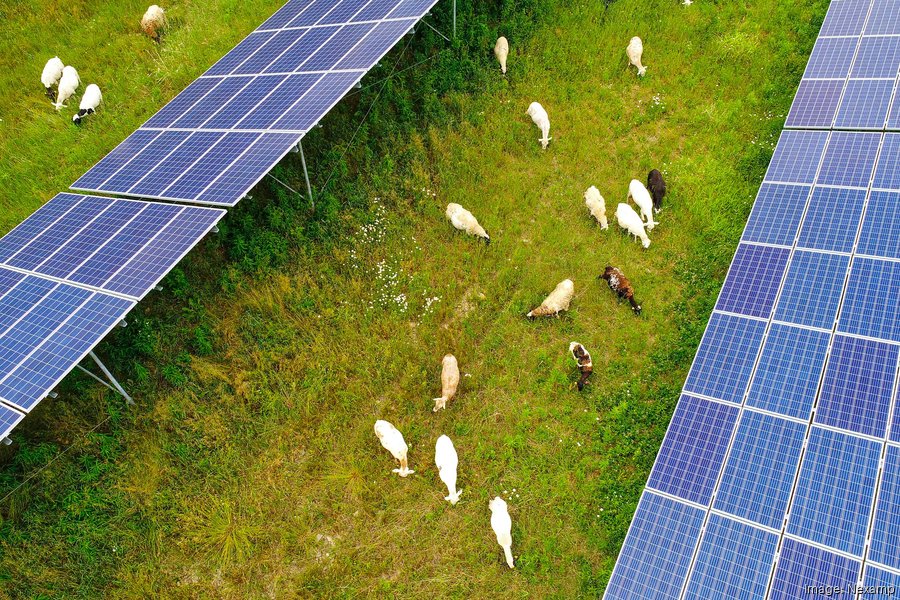 Nexamp secures $330M to build 20 solar projects